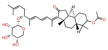 (13Z)-Stelliferin riboside